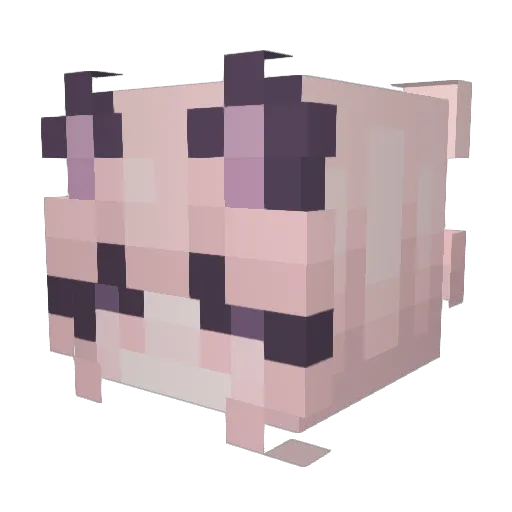VonSchweetzies Minecraft avatar head, 3D render