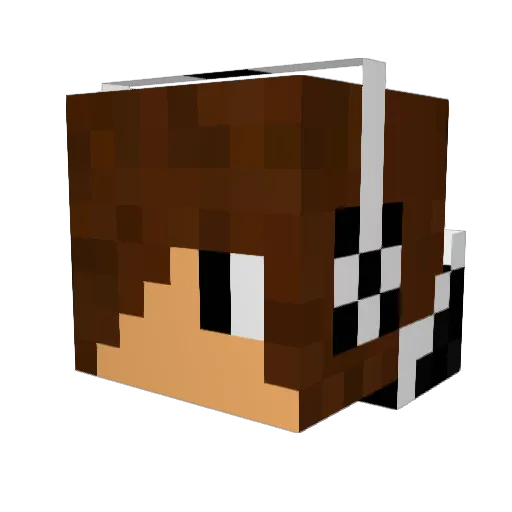 Voneone Minecraft avatar head, 3D render