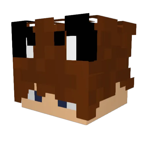 Vonfoxy Minecraft avatar head, 3D render