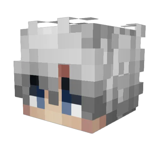 Vong_x_boy Minecraft avatar head, 3D render