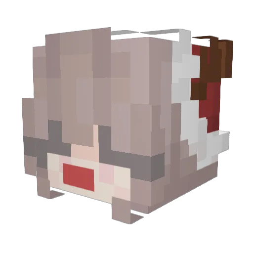 VonnDrac Minecraft avatar head, 3D render