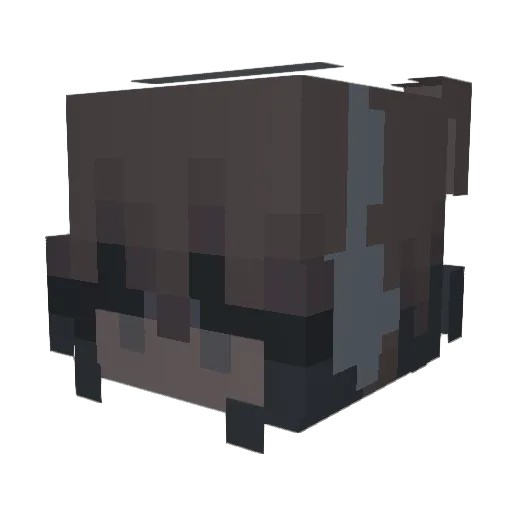 VonnHydra Minecraft avatar head, 3D render