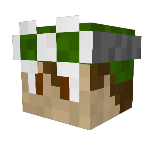 Vonrien Minecraft avatar head, 3D render