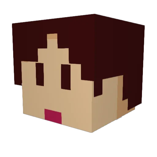 Vonsen3 Minecraft avatar head, 3D render