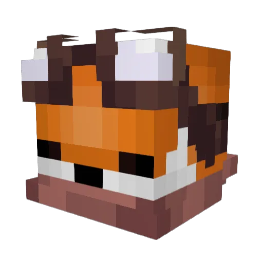 Vonsz Minecraft avatar head, 3D render