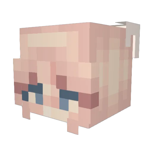 Vontaige Minecraft avatar head, 3D render