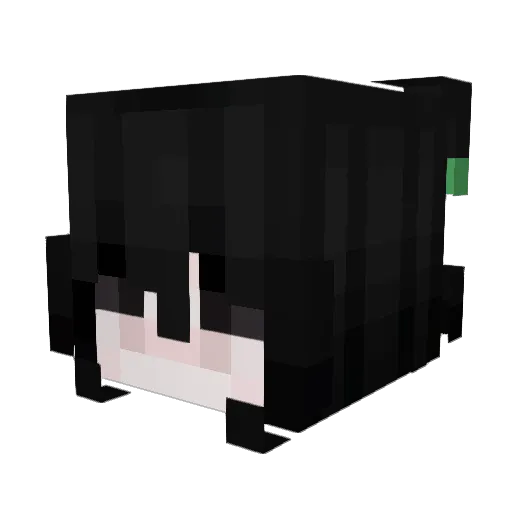 Vonys Minecraft avatar head, 3D render