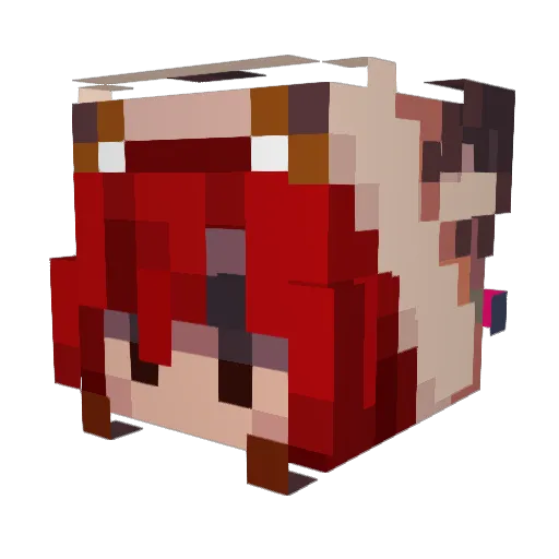 VoodooDoll013 Minecraft avatar head, 3D render