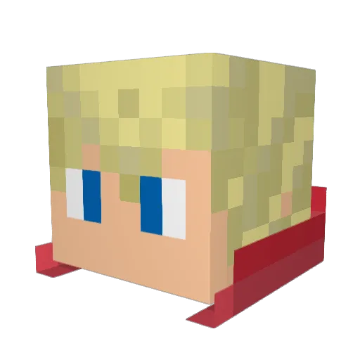 Voodoopuppe Minecraft avatar head, 3D render