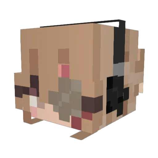 Voodoovampire Minecraft avatar head, 3D render