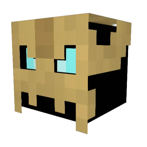 Voradax Minecraft avatar head, 3D render
