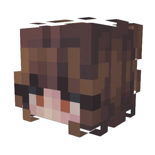 VorceXD Minecraft avatar head, 3D render