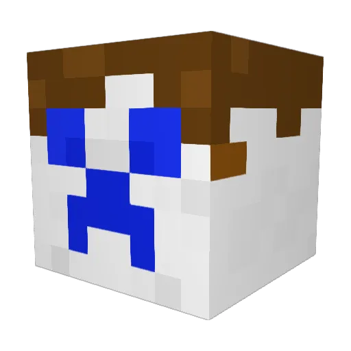 VoriDani01 Minecraft avatar head, 3D render