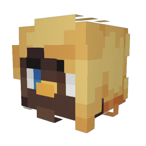 VoriixZ Minecraft avatar head, 3D render