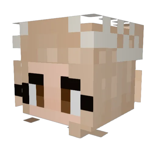 Vorondrano_ Minecraft avatar head, 3D render