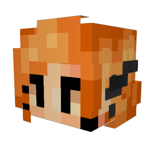 Vorp7415 Minecraft avatar head, 3D render