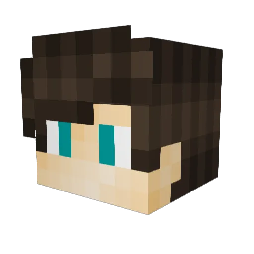 Vort50 Minecraft avatar head, 3D render