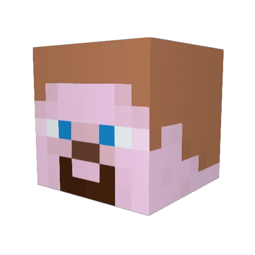 Vort5700 Minecraft avatar head, 3D render