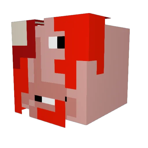 VortexBrother Minecraft avatar head, 3D render