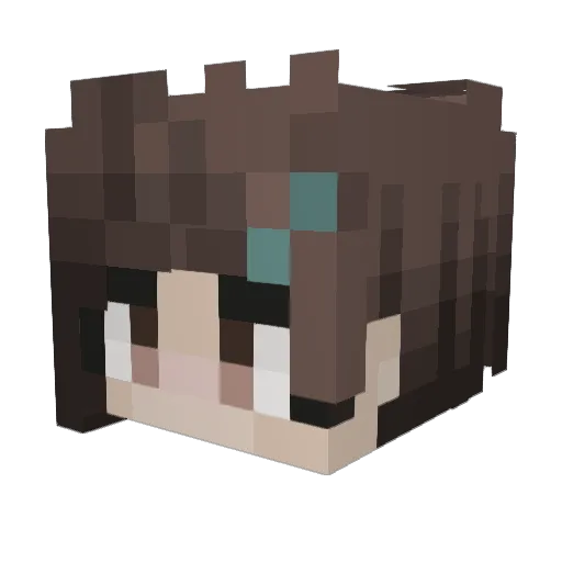 VortexEchos Minecraft avatar head, 3D render