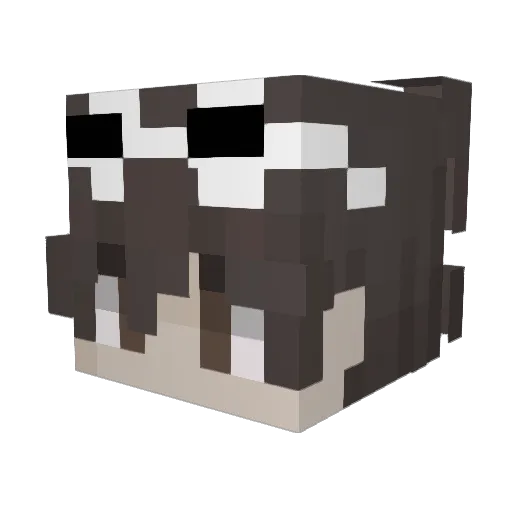 VortexPhanter Minecraft avatar head, 3D render