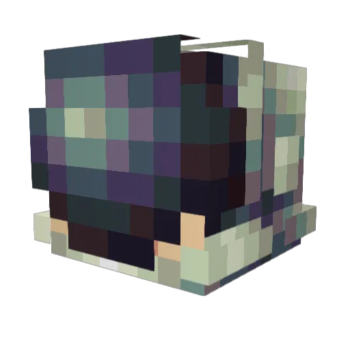 VortexWasp Minecraft avatar head, 3D render