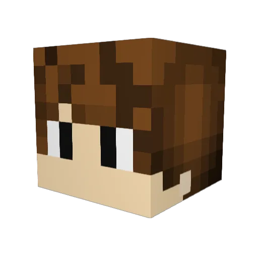 Vortex_GamerZ Minecraft avatar head, 3D render