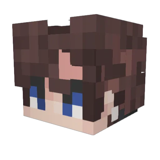 Vortexa445 Minecraft avatar head, 3D render