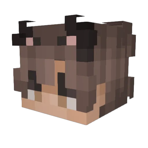 Vortexonpc Minecraft avatar head, 3D render