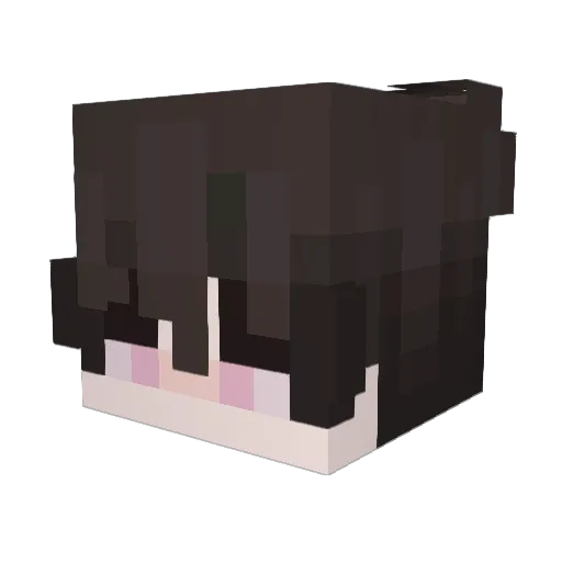 Vortinex Minecraft avatar head, 3D render