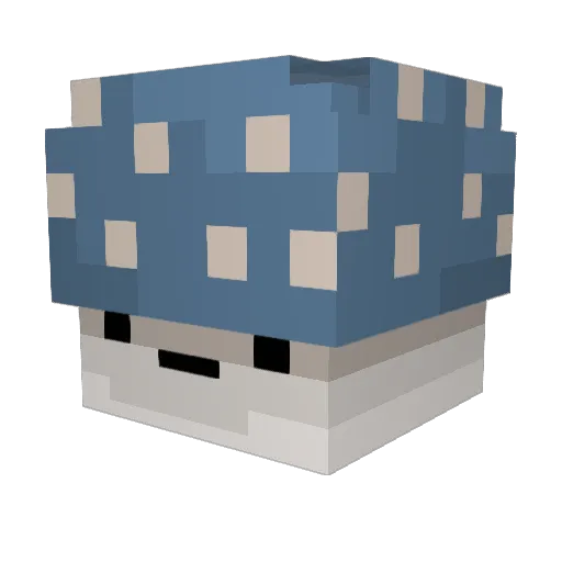 VoseWater Minecraft avatar head, 3D render