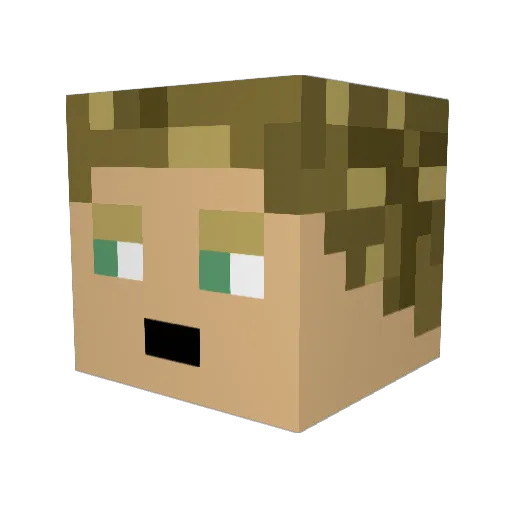 Vossl86 Minecraft avatar head, 3D render