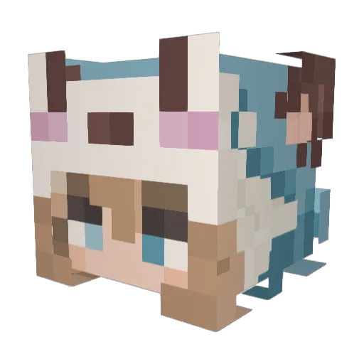 VoteDemocrat Minecraft avatar head, 3D render