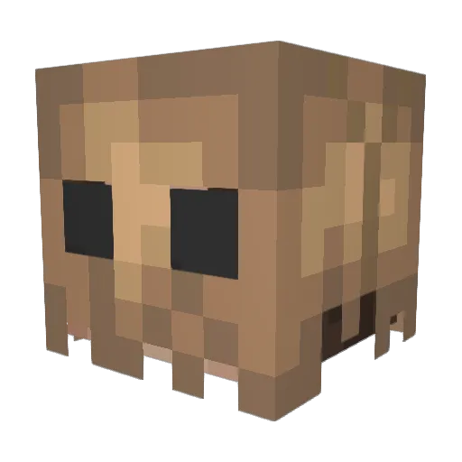 Votivefool Minecraft avatar head, 3D render
