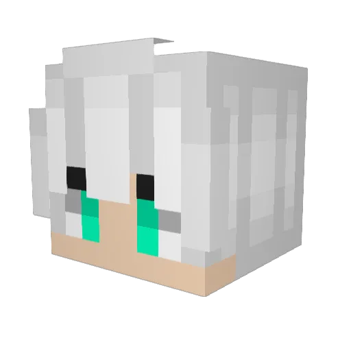 Vovafisher08 Minecraft avatar head, 3D render