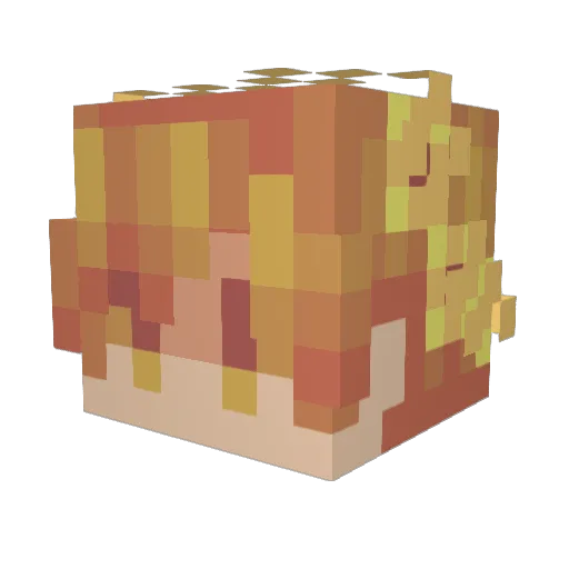 Vovan502 Minecraft avatar head, 3D render