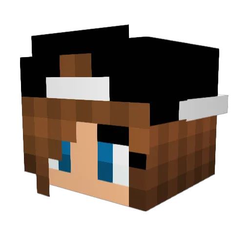 VoviPeter Minecraft avatar head, 3D render