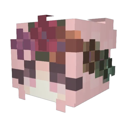 Vox1_ Minecraft avatar head, 3D render