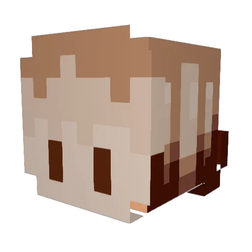 VoxEPN Minecraft avatar head, 3D render