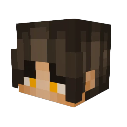 VoxWildcard Minecraft avatar head, 3D render