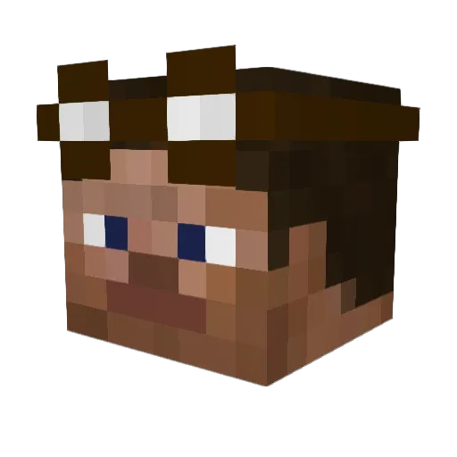 Voxe500 Minecraft avatar head, 3D render