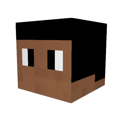 VoxeJOE Minecraft avatar head, 3D render