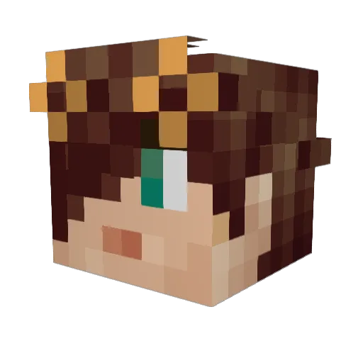 VoxelPanda Minecraft avatar head, 3D render