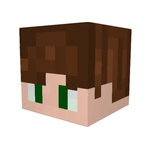 VoxtronYT Minecraft avatar head, 3D render