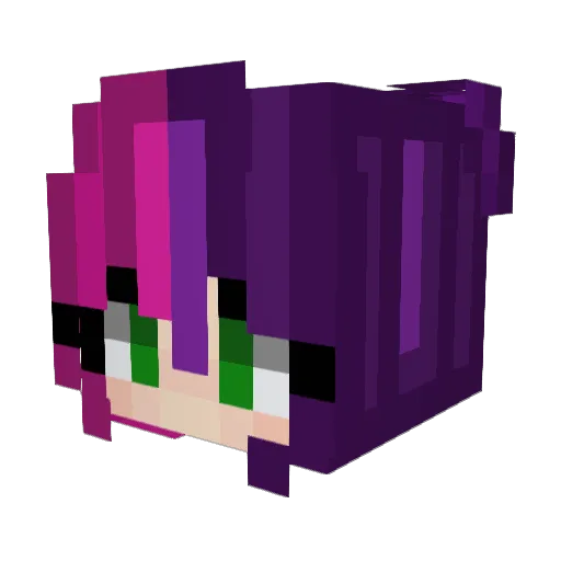 Voxupog Minecraft avatar head, 3D render