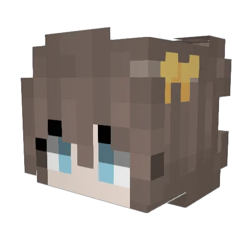 VoyNaLunu Minecraft avatar head, 3D render