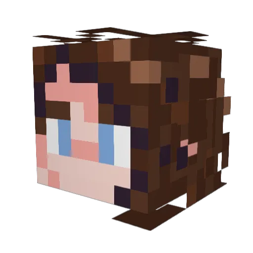 VoyagerInSpace Minecraft avatar head, 3D render