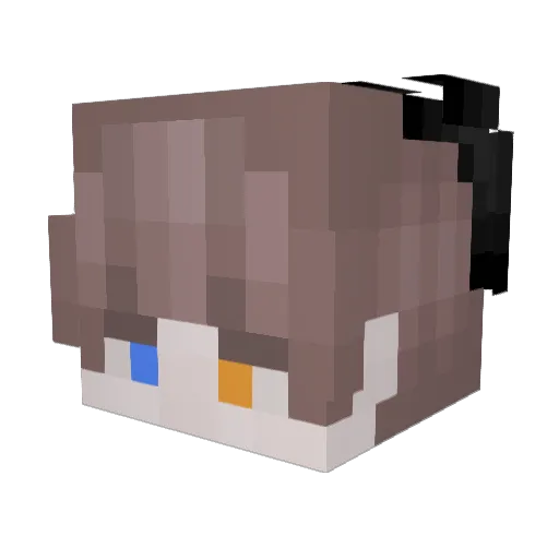 VoyagerMike Minecraft avatar head, 3D render