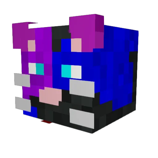 VoyagerTheCat Minecraft avatar head, 3D render