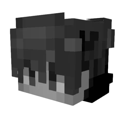 Voyager_999 Minecraft avatar head, 3D render